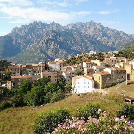 Maison De Village Moltifao Екстер'єр фото